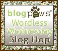 blogpaws bloghop wednesday